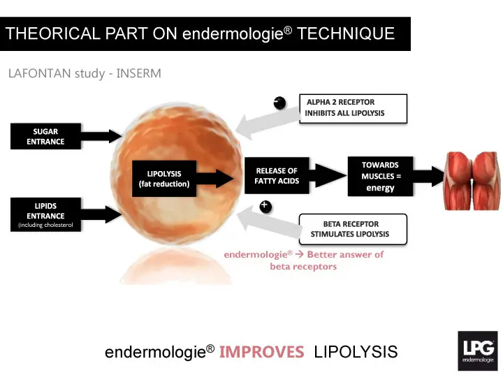 Endermology